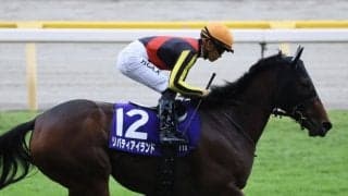 【香港国際競走】リバティアイランドはコンディション良好…香港カップ出走予定