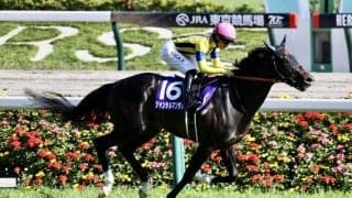 【香港国際競走 】ジャンタルマンタルは好仕上がり…香港マイル出走予定