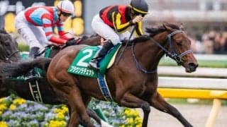 阪神JFで他を圧倒する“前走アルテミスS組”に対抗するのは？ 穴馬複数好走の狙い目ローテを紹介