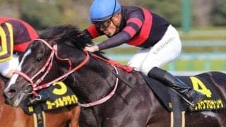 セレクト4.1億円の超良血 連勝で待望のオープン入りなるか
