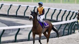 【香港ヴァーズ】ステレンボッシュは13番ゲートから…日本馬2頭が参戦