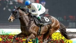 【香港マイル結果】ヴォイッジバブルが前哨戦からの連勝で戴冠 日本のソウルラッシュ2着