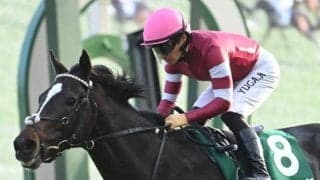 無傷3連勝で京都2歳Sを制したエリキングが骨折 3カ月以上の休養要す見込み