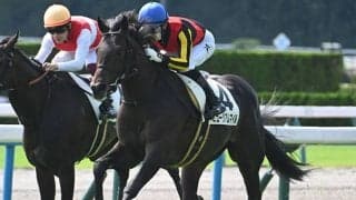 【朝日杯FS・調教後馬体重】ミュージアムマイルは490kg、アルテヴェローチェは468kg