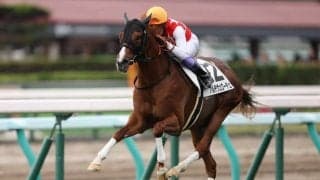 武豊騎手 今週の騎乗馬…朝日杯FSはアルテヴェローチェとのコンビ