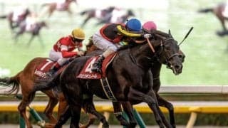 【ホープフルS想定馬・騎手】クロワデュノール、マジックサンズなど18頭