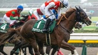 京都芝は中枠→好位-中団がベスト 朝日杯FSはアルテヴェローチェを信頼