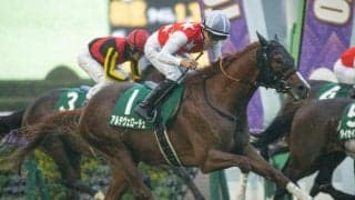 【AI予想・朝日杯FS】2歳マイル王決定戦は人気馬に良績が集中！ 本命はGI制覇へ不安要素が感じられない実力馬