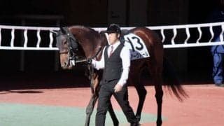 【中京7R】松永幹師「ダートが合う」未勝利馬アークドールが初勝利