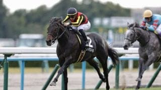 【朝日杯FS】ミュージアムマイルは2枠4番…混戦模様の顔ぶれ