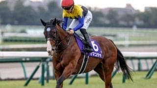 【阪神C】ママコチャ、ナムラクレアらが登録