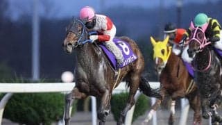【岩手競馬】寒菊賞見どころ…混戦