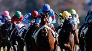 【競馬のおはなし写真館】2024年11月のおはなし賞