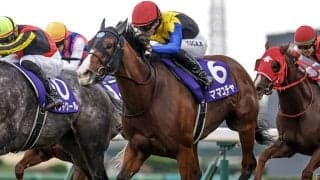【阪神C想定騎手】ママコチャは川田将雅騎手、ナムラクレアはC.ルメール騎手
