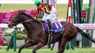 意外にも有馬記念未勝利のキンカメ産駒 エリザベス女王杯覇者がラストランで決めるか