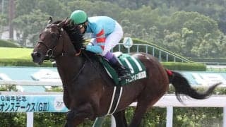 【名古屋大賞典】武豊騎乗の無敗馬ヤマニンウルスが登場
