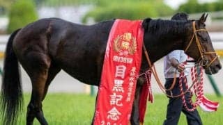 有馬記念史上初の「セン馬V」なるか GII・2勝の実績馬が強敵撃破に挑む