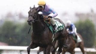【阪神C出走馬・騎手確定】ウインマーベル＆松山弘平騎手、ナムラクレア＆C.ルメール騎手など18頭