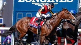 【有馬記念枠順】ローシャムパークは3枠6番に決定 マーカンド騎手「馬の調子はすごくいい」