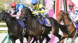 【有馬記念枠順】スターズオンアースは4枠7番に決定 高柳師「去年と違い16番じゃないので良い」