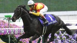  【有馬記念枠順】ジャスティンパレスは6枠11番に決定 坂井騎手「まあまあですかね」