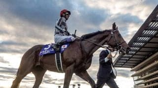 【有馬記念枠順確定】ドウデュースは1枠2番、アーバンシックは2枠3番