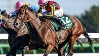 “辰年の有馬記念”に隠された連対率100％のデータ!? キーワードは「関西馬×7枠」