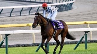 【有馬記念】ドウデュースはプラス8kg出走馬の馬体重