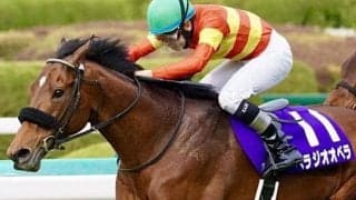 有馬記念でキングカメハメハ系が勝てば史上初！ 今年はベラジオオペラら参戦