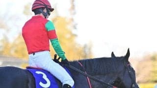 【中山大障害枠順確定】マイネルグロンは1枠1番、ジューンベロシティは5枠5番