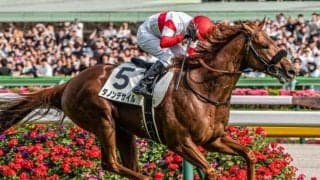 【有馬記念予想】ファンが選んだ夢の対決！ 今年はどんなドラマが待ち受けるか