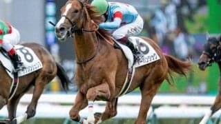 【有馬記念予想】深く掘れば正解が見えてくる？ 過去データから探るGI有馬記念
