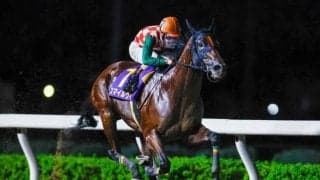 【浦和・ゴールドC枠順】3連覇狙うスマイルウィは2枠2番