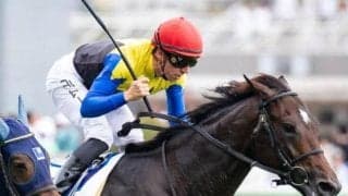 三冠牝馬アパパネの仔 ホープフルSでGIタイトルを獲得しクラシック候補に名乗りを上げるか