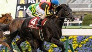 キタサンブラック産駒の24年JRA・GI初勝利なるか ホープフルSは豪華3頭出し