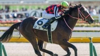 史上最高価格のJRA・GI勝ち馬へ 矢作厩舎の3.2億円馬がホープフルSで無敗戴冠狙う