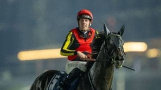 シャフリヤールが引退…種牡馬入り