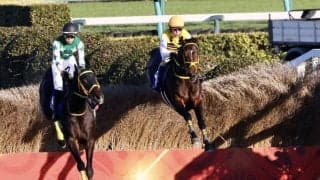 ニシノデイジーが引退…中山大障害を2勝