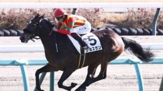 【新馬/中山5R】エフフォーリア半妹 ジョスランがデビューV