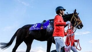 障害GI・2勝のニシノデイジーが登録抹消 今後は西山牧場で種牡馬に