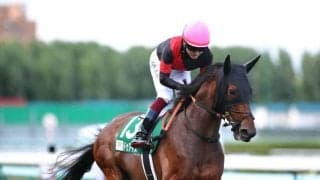 【京都金杯登録馬】ドゥアイズなど28頭