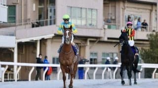 【東京大賞典】ルメール「3コーナーまでは良い感じでしたが…」デルマソトガケは6着