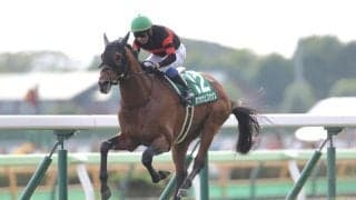 【中山金杯】ホウオウビスケッツはプラス15kg…調教後の馬体重
