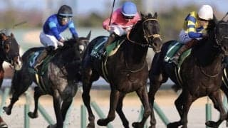 WIN5は371万円超の払戻し…京都金杯はキング騎乗、サクラトゥジュールがV