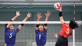 春高バレー　金蘭会が2－1辛勝発進　昨夏の高校総体を制したチームが底力を発揮