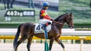 【京成杯】キングノジョー、パーティハーンらが登録