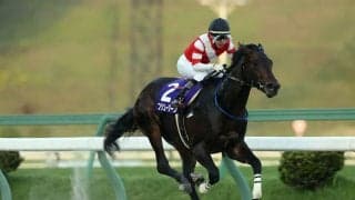 岩手年度代表馬はフジユージーン