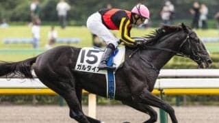 半姉はNHKマイルC覇者のアエロリット ガルダイアが京成杯Vなるか