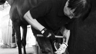【装蹄師・西内荘コラム】精神面の成長も感じたメイショウタバル