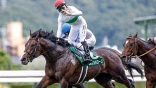 昨年のマイルCSで2着のエルトンバローズが骨折 6か月以上の休養を要する見込み
